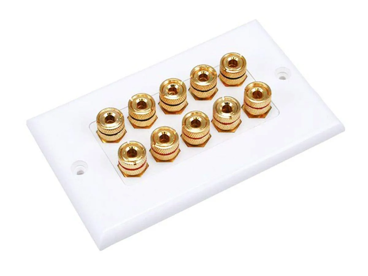 Monoprice 103539 Speaker Wall Plate Review image 4