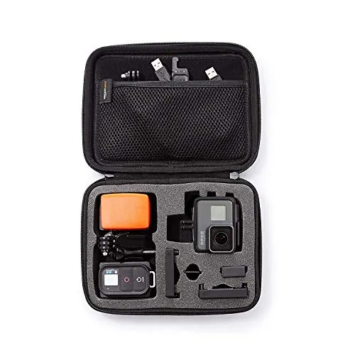 Amazon Basics GoPro Carrying Case Review