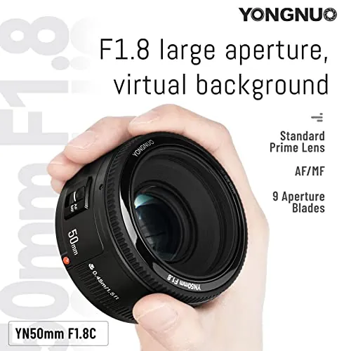 YONGNUO YN50mm F1.8 Review: Budget Canon EF Prime Lens image 2
