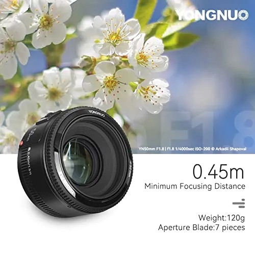 YONGNUO YN50mm F1.8 Review: Budget Canon EF Prime Lens image 3