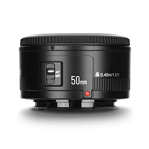 YONGNUO YN50mm F1.8 Review: Budget Canon EF Prime Lens image 5