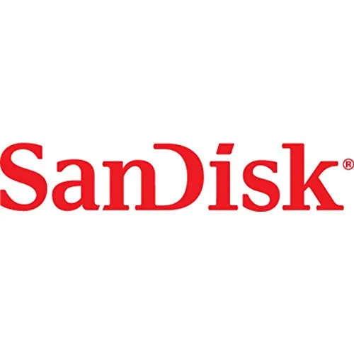 SanDisk High Endurance 64GB Review: Dash Cam microSD image 3