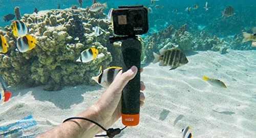 GoPro The Handler Review: Floating Hand Grip Ranked image 2