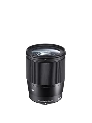 Sigma 16mm f/1.4 Sony E Lens Review & Ranking image 3