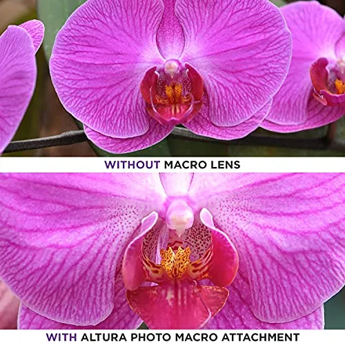 Altura Photo 49MM Wide Angle Lens Review image 7