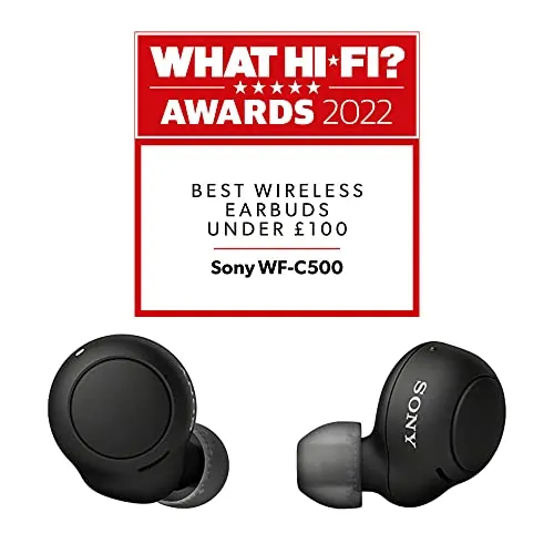 Sony WF-C500 Review: Budget Wireless Earbuds Ranked image 2