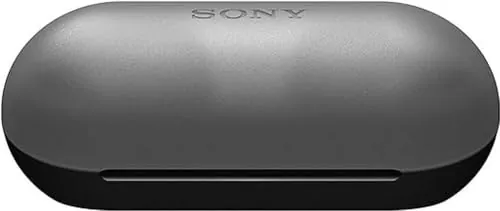 Sony WF-C500 Review: Budget Wireless Earbuds Ranked image 4