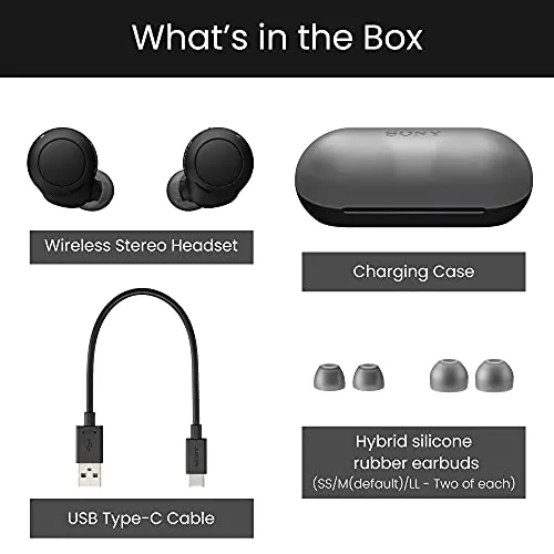 Sony WF-C500 Review: Budget Wireless Earbuds Ranked image 6